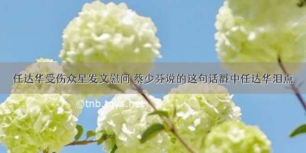 任达华受伤众星发文慰问 蔡少芬说的这句话戳中任达华泪点