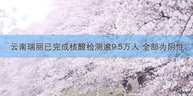 云南瑞丽已完成核酸检测逾9.5万人 全部为阴性