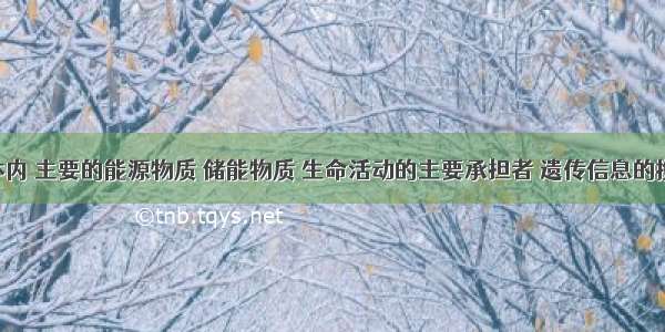 在生物体内 主要的能源物质 储能物质 生命活动的主要承担者 遗传信息的携带者 生