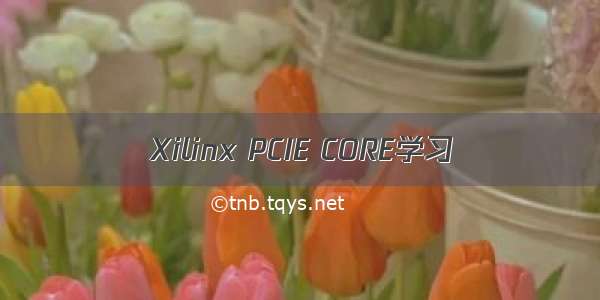 Xilinx PCIE CORE学习