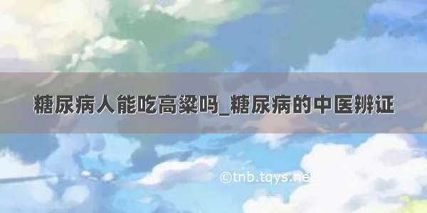 糖尿病人能吃高粱吗_糖尿病的中医辨证