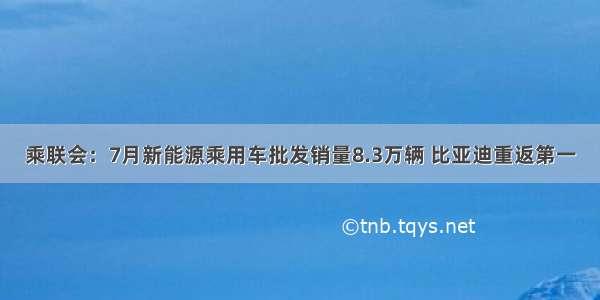 乘联会：7月新能源乘用车批发销量8.3万辆 比亚迪重返第一