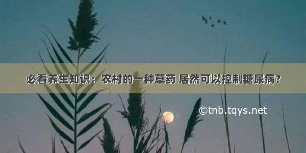 必看养生知识：农村的一种草药 居然可以控制糖尿病？