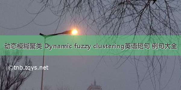 动态模糊聚类 Dynamic fuzzy clustering英语短句 例句大全