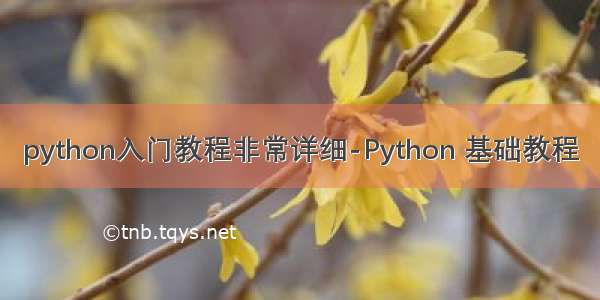 python入门教程非常详细-Python 基础教程