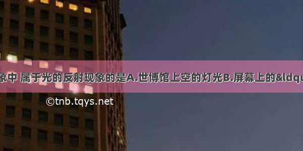 如图所示的四种现象中 属于光的反射现象的是A.世博馆上空的灯光B.屏幕上的“手影”C.