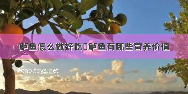 鲈鱼怎么做好吃	鲈鱼有哪些营养价值