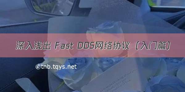 深入浅出 Fast DDS网络协议（入门篇）