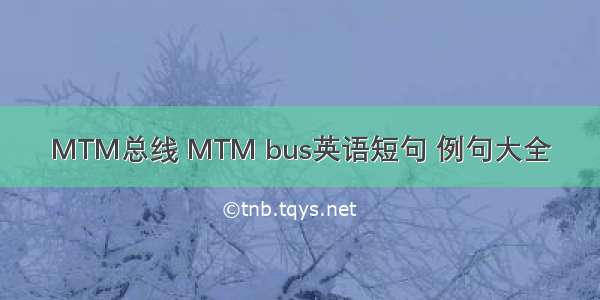 MTM总线 MTM bus英语短句 例句大全