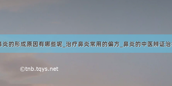 鼻炎的形成原因有哪些呢_治疗鼻炎常用的偏方_鼻炎的中医辨证治疗