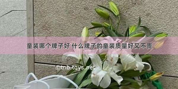 童装哪个牌子好 什么牌子的童装质量好又不贵