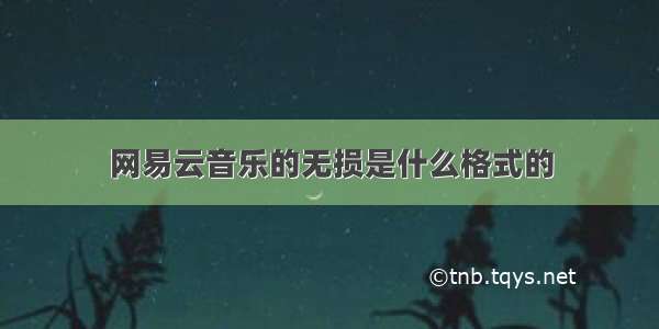 网易云音乐的无损是什么格式的