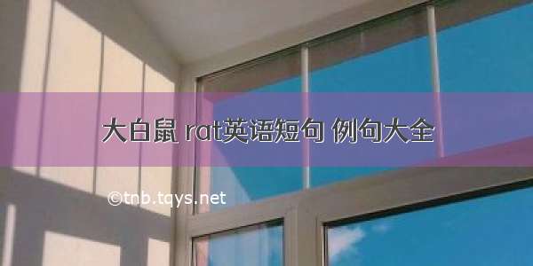 大白鼠 rat英语短句 例句大全