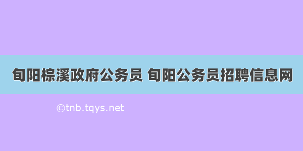 旬阳棕溪政府公务员 旬阳公务员招聘信息网