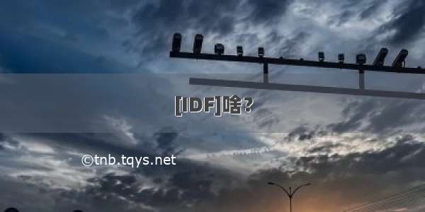 [IDF]啥？