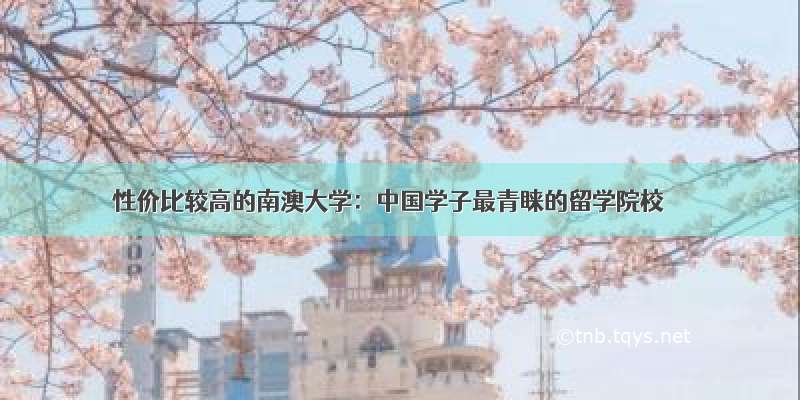 性价比较高的南澳大学：中国学子最青睐的留学院校