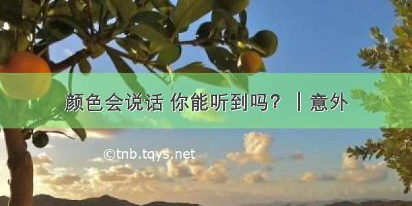 颜色会说话 你能听到吗？｜意外