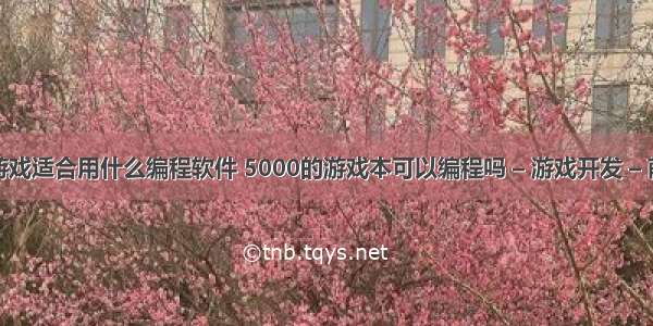 做游戏适合用什么编程软件 5000的游戏本可以编程吗 – 游戏开发 – 前端