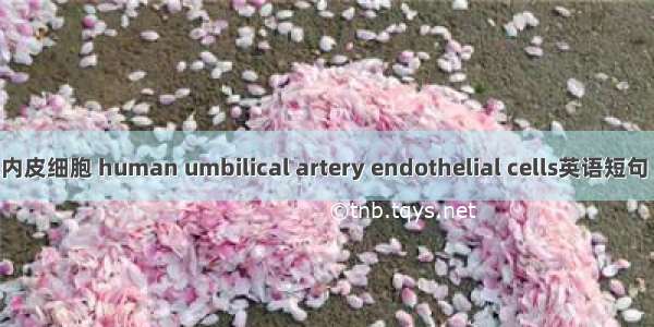 人脐动脉内皮细胞 human umbilical artery endothelial cells英语短句 例句大全