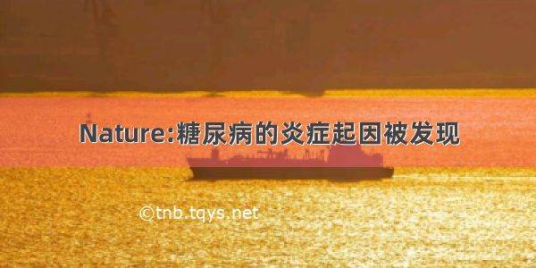 Nature:糖尿病的炎症起因被发现