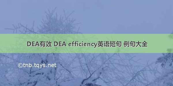 DEA有效 DEA efficiency英语短句 例句大全