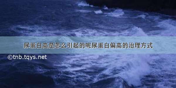 尿蛋白高是怎么引起的呢尿蛋白偏高的治理方式