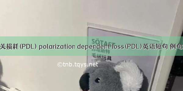 偏振相关损耗(PDL) polarization dependent loss(PDL)英语短句 例句大全