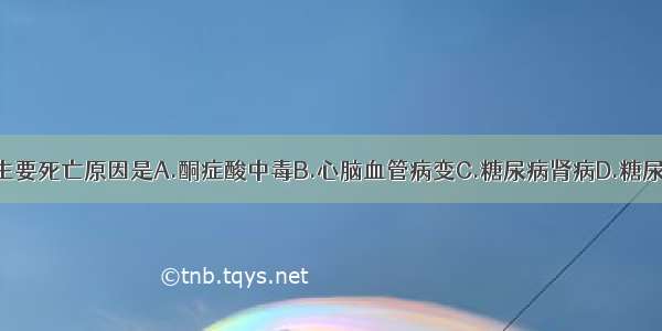 2型糖尿病的主要死亡原因是A.酮症酸中毒B.心脑血管病变C.糖尿病肾病D.糖尿病神经病变E