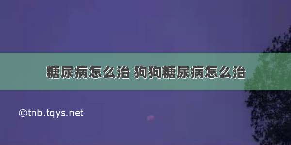 糖尿病怎么治 狗狗糖尿病怎么治