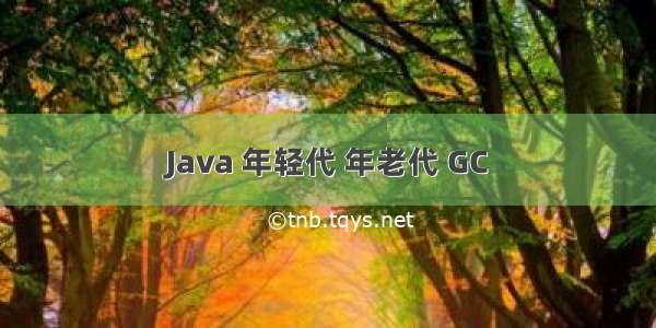 Java 年轻代 年老代 GC