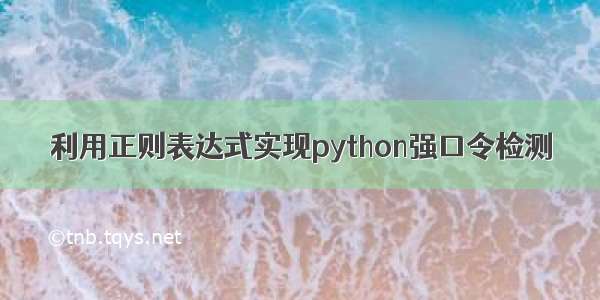 利用正则表达式实现python强口令检测