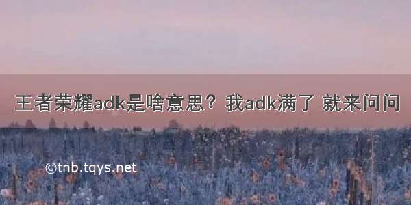 王者荣耀adk是啥意思？我adk满了 就来问问