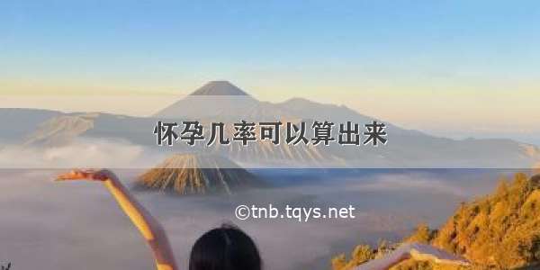 怀孕几率可以算出来