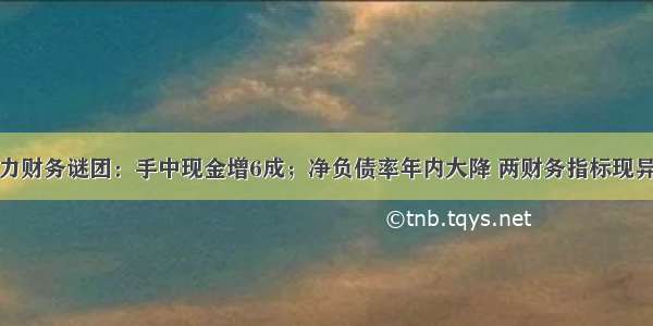 新力财务谜团：手中现金增6成；净负债率年内大降 两财务指标现异常