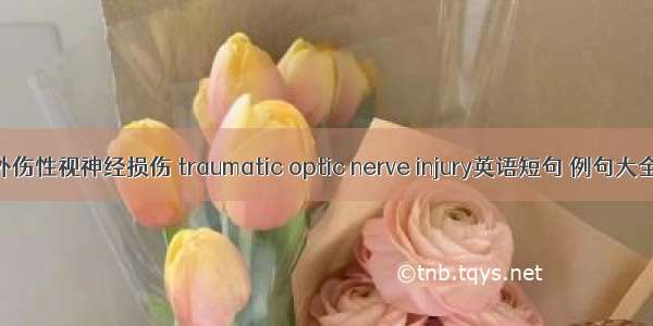 外伤性视神经损伤 traumatic optic nerve injury英语短句 例句大全