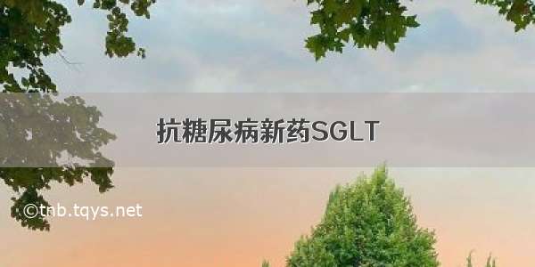 抗糖尿病新药SGLT