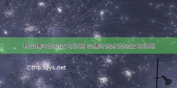 野山楂叶的功效与作用 山楂叶泡水的功效与作用