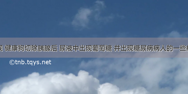 科学家发现 健康狗切除胰腺后 尿液中出现葡萄糖 并出现糖尿病病人的一些症状将其胰