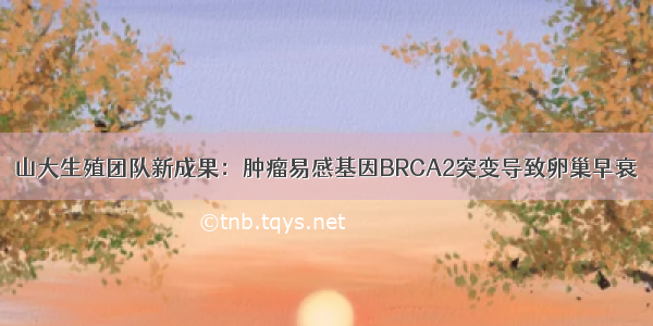 山大生殖团队新成果：肿瘤易感基因BRCA2突变导致卵巢早衰