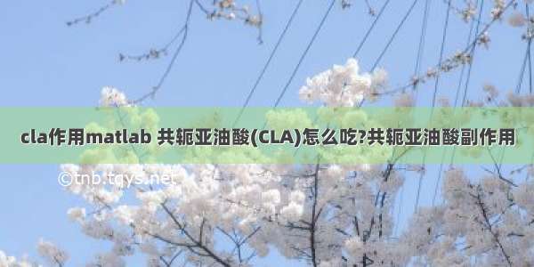 cla作用matlab 共轭亚油酸(CLA)怎么吃?共轭亚油酸副作用