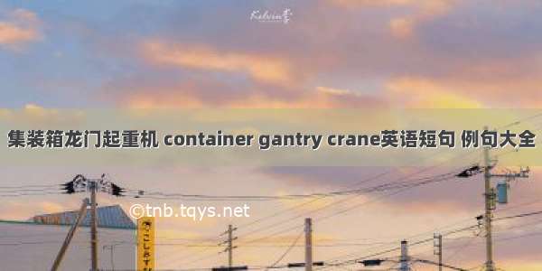 集装箱龙门起重机 container gantry crane英语短句 例句大全