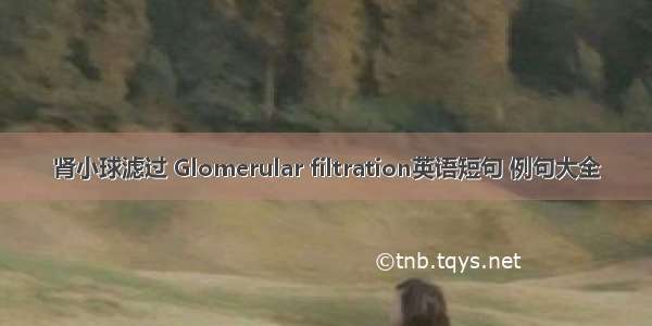 肾小球滤过 Glomerular filtration英语短句 例句大全