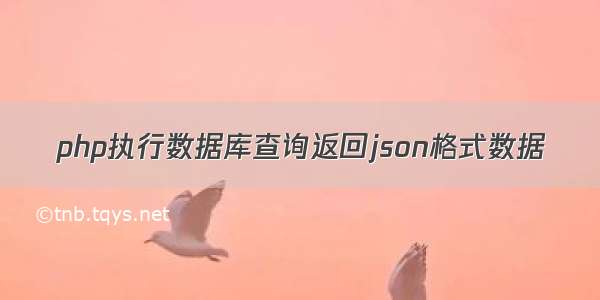 php执行数据库查询返回json格式数据