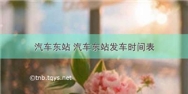 汽车东站 汽车东站发车时间表