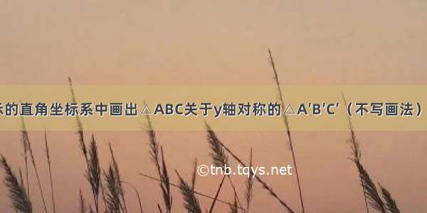 在如图所示的直角坐标系中画出△ABC关于y轴对称的△A′B′C′（不写画法） 并将点A\'