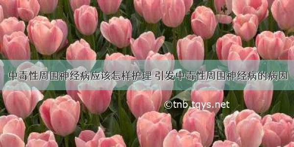 中毒性周围神经病应该怎样护理	引发中毒性周围神经病的病因