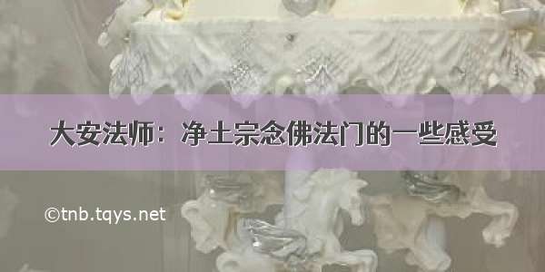 大安法师：净土宗念佛法门的一些感受