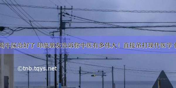 糖尿病 喝牛尿治好了 印度朋友告诉你中医有多伟大！直接吊打现代医学 你能证明