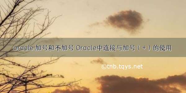 oracle 加号和不加号 Oracle中连接与加号（+）的使用