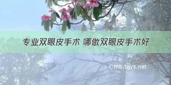 专业双眼皮手术 哪做双眼皮手术好